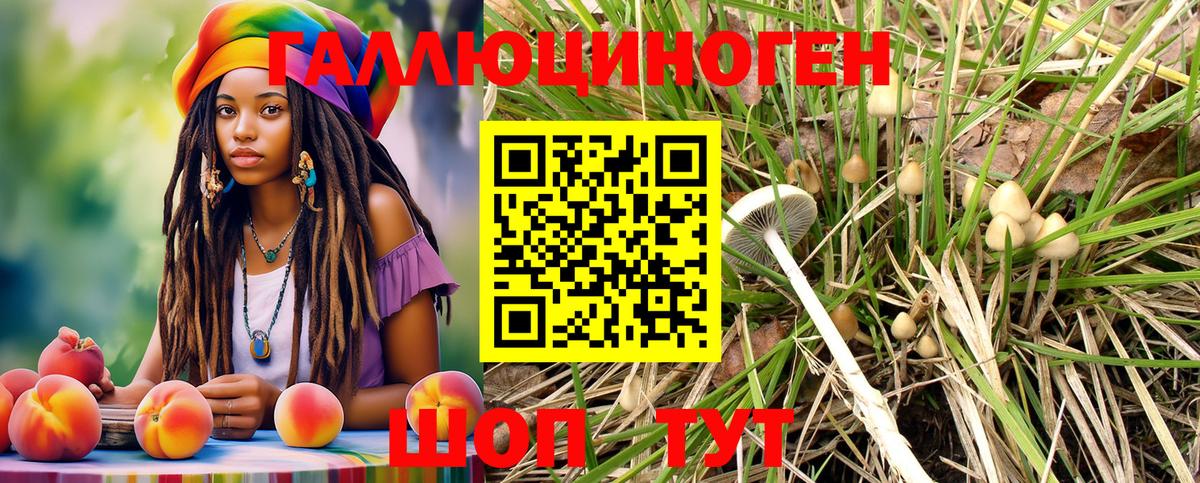 Псилоцибиновые грибы MAGIC MUSHROOMS  Галлюциногенные грибы Magic Shrooms  Вход с VPN  Новоалтайск 